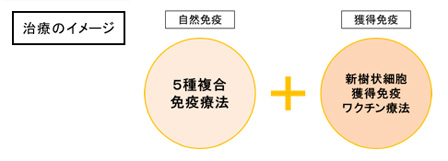 最先端の免疫療法「新樹状細胞獲得免疫ワクチン療法」の治療イメージ