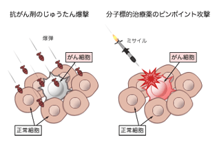 分子標的治療薬イメージ